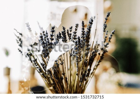 Lavender and silhouette of a man with coffee