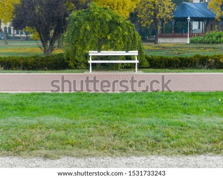 White bench at the park
