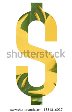 Tropical flower font symbol dollar  made of real alive flowers monstera on white background with paper cut shape of letter. Collection of tropical flora font for your unique decoration in summer