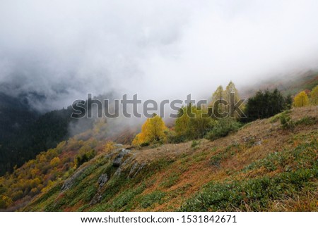Beautiful mountain autumn view with low clouds on the route from the Mt. Megruki peak to Atskuri. Borjomi-Kharagauli National Park, Borjomi, Georgia. 