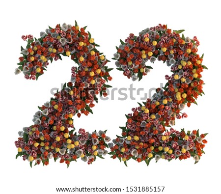 3D rendering of number twenty two, made of colorful Tulip flowers