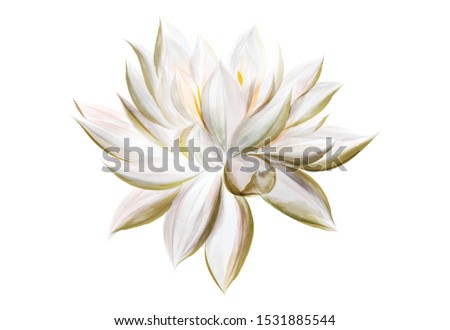 lotus flowers isolated on white background. Design for natural cosmetics, health care and ayurveda products, yoga center.