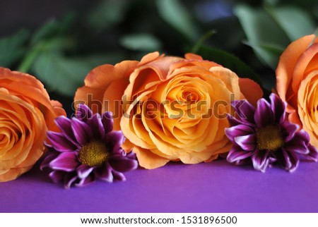 Closeup macro beautiful orange yellow roses purple flowers and leaves composition on the paper background. Colorful floristic wallpapers card picture