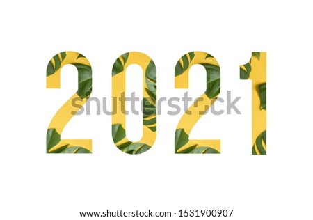 Tropical flower font number 2021 made of real alive flowers monstera on white background with paper cut shape of letter. Collection of tropical flora font for your unique decoration in summer