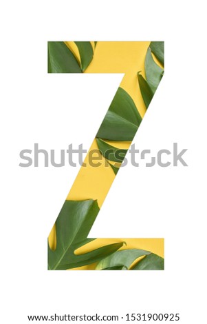 Flower font Alphabet Z made of Real alive flowers monstera on yellow background with paper cut shape of letter. Collection of flora font for your unique decoration in summer