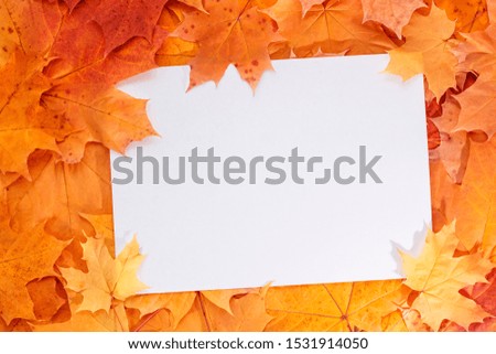 Empty blank paper sheet with Frame of Autumn leaves. Copy space for to do list