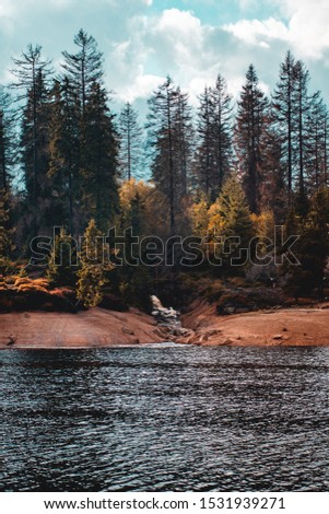 Rough wilderness outdoor nature on a lake with waterfall and colorful autumn fall trees. Oderteich, Harz National Park in the Mountains, Germany