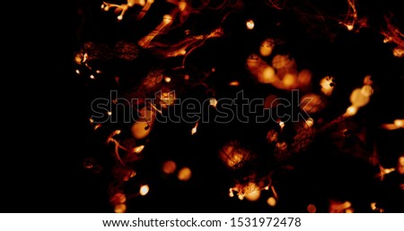 The fire spreads through the smoldering steel wool, forming many sparks and isolated beautiful combustion on black background that looks like strands of neurons in the brain