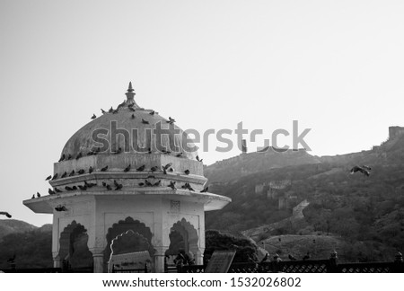 Outside Amer Fort in Jaipur.  The dome filled with pigeons. Royalty-Free Stock Photo #1532026802