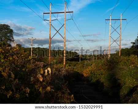 Many tall electric power transmission lines crisscrossing over a remote wooded area