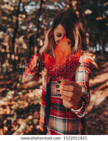 A blurred adult female holding a focused large, red Autumn Blaze Maple leaf in a forest during the fall as the morning sun peaks through the trees in the North American Midwest. Flannel in fall.  Royalty-Free Stock Photo #1532051825