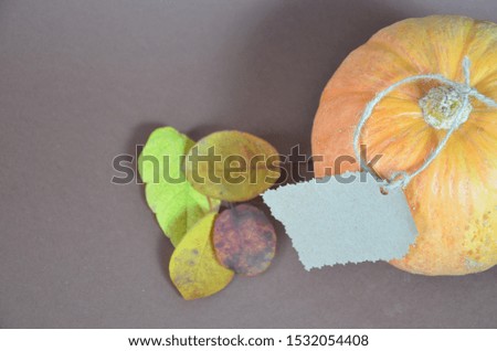 Thanksgiving Day. Pumpkin, pumpkin with autumn leaves and apples. Autumn harvest on a brown background. Happy Thanksgiving Lettering set table for celebration. fork and knife