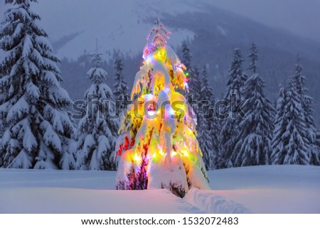 Fluffy Christmas tree with colorful garlands. Night winter mountain landscapes. Location the Carpathian, Ukraine, Europe.