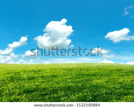 landscape picture of green grass field and blue sky with white clouds.
