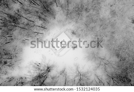An aerial shot of a house surrounded by leafless trees in black and white