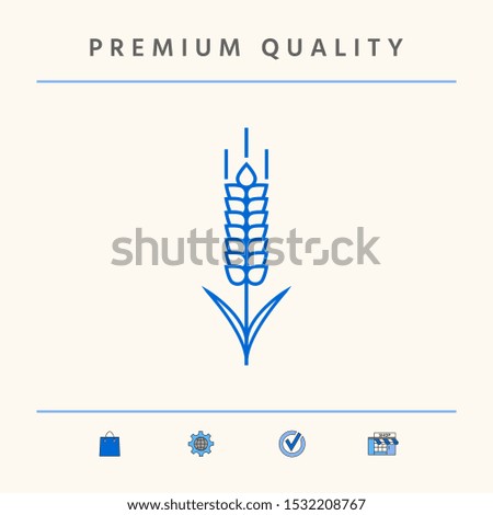 Wheat or rye spikelet icon. Graphic elements for your design