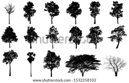 collections black tree isolated. silhuette tree isolated on white background. Royalty-Free Stock Photo #1532258102