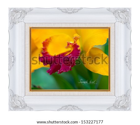 Flowers frame isolated on white.