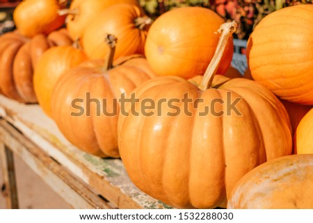 A pile of pumpkins at a fall farmers market.
