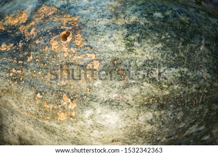 interesting structure of a pumpkin peel as a texture
