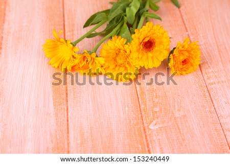 Calendula flowers on wooden background