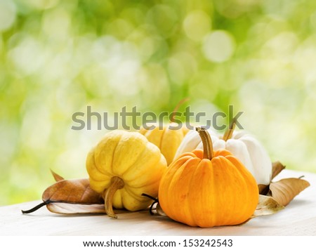 Pumpkins on green natural background.