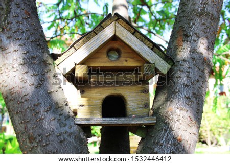 bird house in the yard