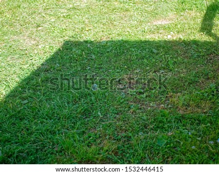 bubble on the grass in the garden in summer, Russia
