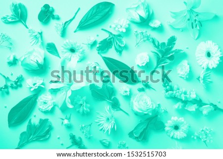 Creative layout with white flowers, paper circle for copyspace over mint background. Spring and summer concept in trrendy green and turquoise color