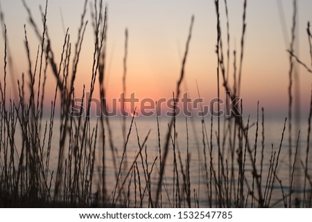 Dry grass in the foreground, behind the sunset at sea autumn landscape