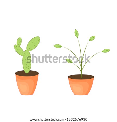 two green cacti in a pot, vector illustration.