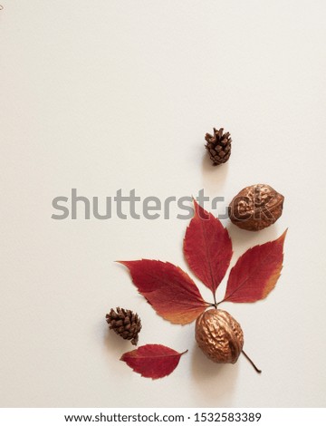 Autumn composition mock up. Walnut, cones and dry leaves on white background. Fall, thanksgiving day concept. Flat lay, top view, copy space
