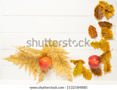 Red and yellow apples with autumn leaves on a white background. Autumn composition. Background with space for text.