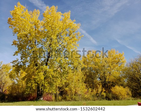 Golden autumn in Winnipeg, Manitoba