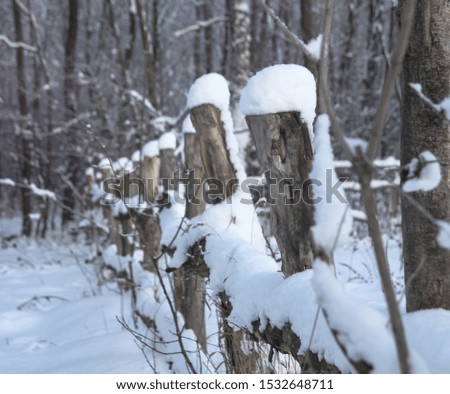 Winter landscape outside the city in the forest. Snowy fence in December. Christmas and New Year picture.