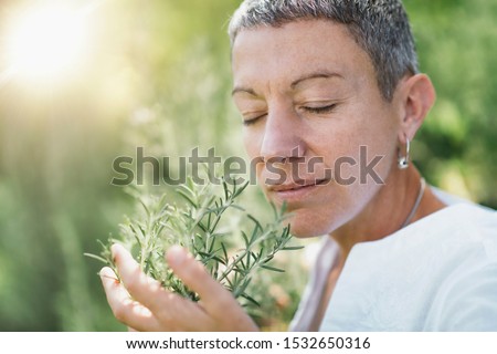 Naturally beautiful middle age woman with short gray hair dressed in white, smelling rosemary plant and enjoying its fragrance in the summer.  Using nature to heal the spiritual self Royalty-Free Stock Photo #1532650316