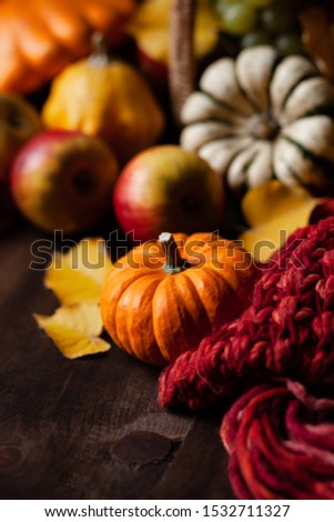 Autumn, harvest time. Composition with ripe organic pumpkins, apples, red scarf and yellow leaves. Basket on background. Low key, dark and moody
