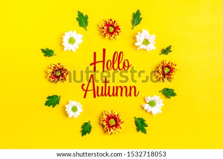 pattern of round frame of flowers white, red asters, green leaves  isolated on yellow background Flat lay Top view Mock up Sesonal concept Text Hello autumn Good morning Holiday card