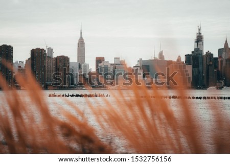 Manhattan skyline from Green Point, Brooklyn, with yellow tall grass in the foreground.