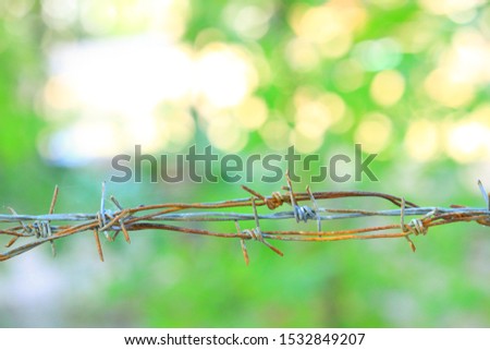 Barbed wire together the area with the blurred green background