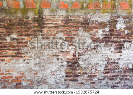 Texture of an old and colorful urban wall.