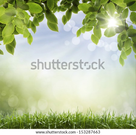 Soft defocused spring background with a sunburst and bokeh over lush green grass 