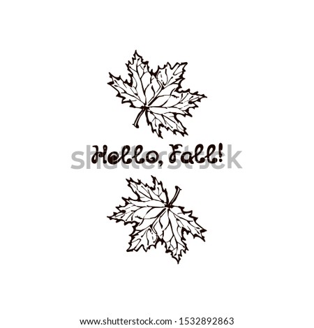 Hand drawn maple leaves with handwritten text isolated on white background. Inscription: Hello, fall