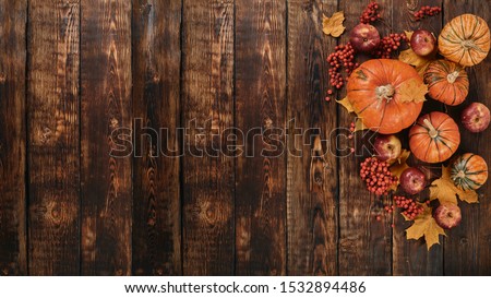 Festive autumn still life  with pumpkins, red apples, berries and leaves on dark  wooden background. Top view with copy space. Concept of autumn harvest, happy Thanksgiving  day or Halloween.