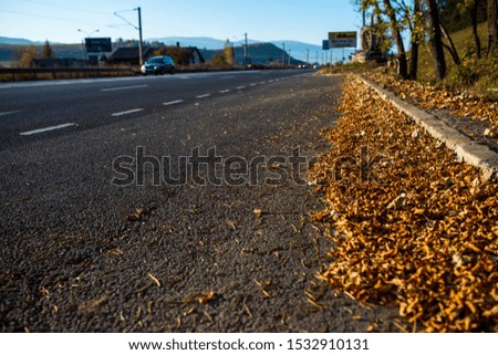 Many yellow leaves near roadside at autumn, passing cars in the blurred background.