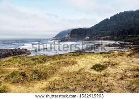 Picture of the Oregon coast taken at Neptune State Scenic Viewpoint, Oregon, USA.