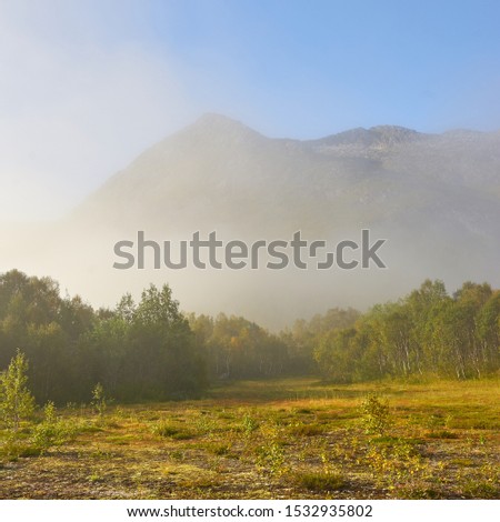 The morning sun shines on a foggy landscape. Bright colors everywhere. The mountain in background is above the fog.