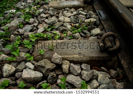 Railway Track End With Plants Growing On It Abstract Picture
