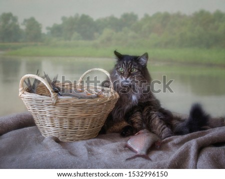 Cat on the river-said white basket of fish