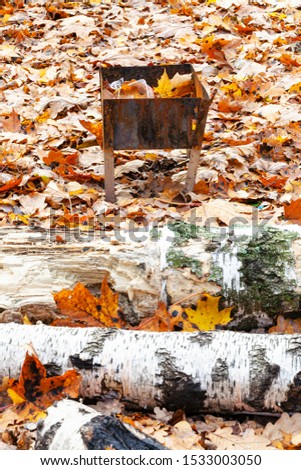 little grill with trash on meadow covered by fallen leaves in city park in autumn